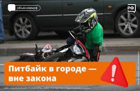 Новая опасная игрушка подростков — питбайки.
